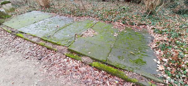 3-Gruppe-Grabplatten-20210102 135204-BS.jpg